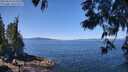 ./images/koeye/fitz-hugh/20250613/fitz-hugh20250613_115509M.jpg