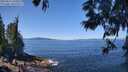 ./images/koeye/fitz-hugh/20250613/fitz-hugh20250613_120012M.jpg