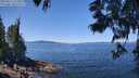 ./images/koeye/fitz-hugh/20250613/fitz-hugh20250613_121011M.jpg