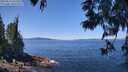 ./images/koeye/fitz-hugh/20250613/fitz-hugh20250613_121511M.jpg