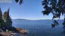 ./images/koeye/fitz-hugh/20250613/fitz-hugh20250613_122509M.jpg