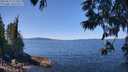 ./images/koeye/fitz-hugh/20250613/fitz-hugh20250613_123511M.jpg