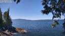 ./images/koeye/fitz-hugh/20250613/fitz-hugh20250613_125010M.jpg