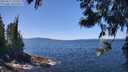 ./images/koeye/fitz-hugh/20250613/fitz-hugh20250613_125510M.jpg