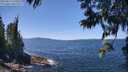 ./images/koeye/fitz-hugh/20250613/fitz-hugh20250613_130012M.jpg