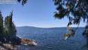 ./images/koeye/fitz-hugh/20250613/fitz-hugh20250613_130509M.jpg