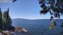 ./images/koeye/fitz-hugh/20250613/fitz-hugh20250613_131011M.jpg