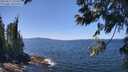 ./images/koeye/fitz-hugh/20250613/fitz-hugh20250613_131511M.jpg