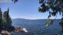 ./images/koeye/fitz-hugh/20250613/fitz-hugh20250613_132510M.jpg
