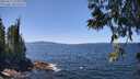 ./images/koeye/fitz-hugh/20250613/fitz-hugh20250613_133012M.jpg