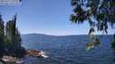 ./images/koeye/fitz-hugh/20250613/fitz-hugh20250613_133511M.jpg