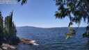 ./images/koeye/fitz-hugh/20250613/fitz-hugh20250613_134009M.jpg