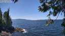 ./images/koeye/fitz-hugh/20250613/fitz-hugh20250613_134511M.jpg