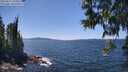 ./images/koeye/fitz-hugh/20250613/fitz-hugh20250613_140012M.jpg