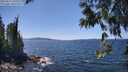 ./images/koeye/fitz-hugh/20250613/fitz-hugh20250613_140508M.jpg