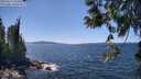 ./images/koeye/fitz-hugh/20250613/fitz-hugh20250613_141010M.jpg