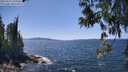 ./images/koeye/fitz-hugh/20250613/fitz-hugh20250613_142509M.jpg