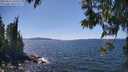 ./images/koeye/fitz-hugh/20250613/fitz-hugh20250613_143511M.jpg