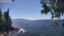 ./images/koeye/fitz-hugh/20250613/fitz-hugh20250613_144011M.jpg