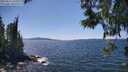 ./images/koeye/fitz-hugh/20250613/fitz-hugh20250613_144511M.jpg