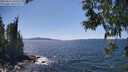 ./images/koeye/fitz-hugh/20250613/fitz-hugh20250613_145510M.jpg