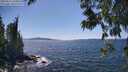./images/koeye/fitz-hugh/20250613/fitz-hugh20250613_150013M.jpg