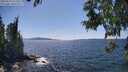 ./images/koeye/fitz-hugh/20250613/fitz-hugh20250613_151010M.jpg