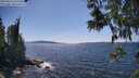 ./images/koeye/fitz-hugh/20250613/fitz-hugh20250613_151509M.jpg