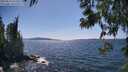 ./images/koeye/fitz-hugh/20250613/fitz-hugh20250613_152510M.jpg
