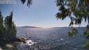 ./images/koeye/fitz-hugh/20250613/fitz-hugh20250613_154511M.jpg