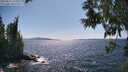 ./images/koeye/fitz-hugh/20250613/fitz-hugh20250613_155011M.jpg
