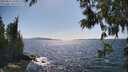 ./images/koeye/fitz-hugh/20250613/fitz-hugh20250613_160011M.jpg