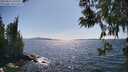 ./images/koeye/fitz-hugh/20250613/fitz-hugh20250613_160510M.jpg