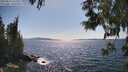 ./images/koeye/fitz-hugh/20250613/fitz-hugh20250613_161011M.jpg