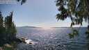 ./images/koeye/fitz-hugh/20250613/fitz-hugh20250613_161512M.jpg