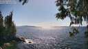 ./images/koeye/fitz-hugh/20250613/fitz-hugh20250613_162011M.jpg