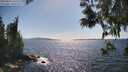 ./images/koeye/fitz-hugh/20250613/fitz-hugh20250613_162510M.jpg