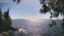 ./images/koeye/fitz-hugh/20250613/fitz-hugh20250613_163012M.jpg