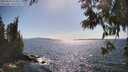 ./images/koeye/fitz-hugh/20250613/fitz-hugh20250613_164010M.jpg