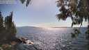 ./images/koeye/fitz-hugh/20250613/fitz-hugh20250613_164510M.jpg