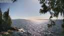./images/koeye/fitz-hugh/20250613/fitz-hugh20250613_165510M.jpg