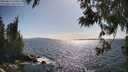 ./images/koeye/fitz-hugh/20250613/fitz-hugh20250613_170012M.jpg