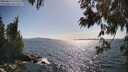 ./images/koeye/fitz-hugh/20250613/fitz-hugh20250613_170510M.jpg