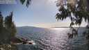 ./images/koeye/fitz-hugh/20250613/fitz-hugh20250613_172510M.jpg