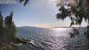 ./images/koeye/fitz-hugh/20250613/fitz-hugh20250613_173012M.jpg