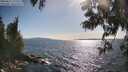 ./images/koeye/fitz-hugh/20250613/fitz-hugh20250613_173511M.jpg