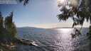 ./images/koeye/fitz-hugh/20250613/fitz-hugh20250613_180011M.jpg