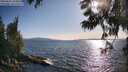 ./images/koeye/fitz-hugh/20250613/fitz-hugh20250613_183012M.jpg