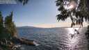 ./images/koeye/fitz-hugh/20250613/fitz-hugh20250613_190009M.jpg