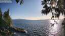 ./images/koeye/fitz-hugh/20250613/fitz-hugh20250613_191008M.jpg